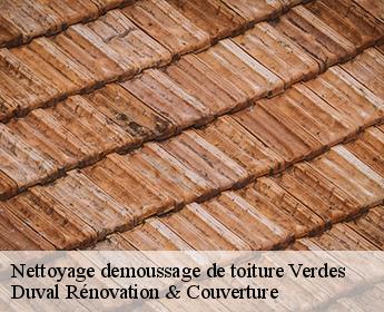 Nettoyage demoussage de toiture  verdes-41240 Duval Rénovation & Couverture