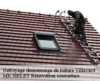Nettoyage demoussage de toiture 41800