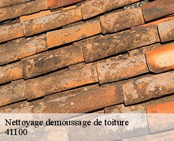 Nettoyage demoussage de toiture