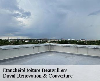 Etanchéité toiture beauvilliers-41290 Duval Rénovation & Couverture