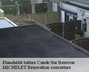 Etanchéité toiture  cande-sur-beuvron-41120 Entreprise de Couverture et Reparation 41