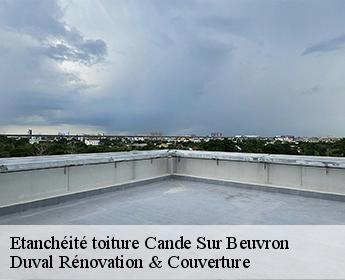 Etanchéité toiture cande-sur-beuvron-41120 Duval Rénovation & Couverture