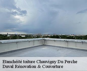 Etanchéité toiture chauvigny-du-perche-41270 Duval Rénovation & Couverture