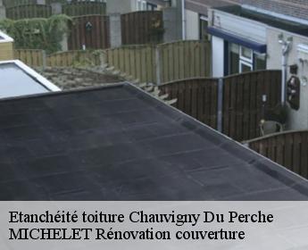 Etanchéité toiture chauvigny-du-perche-41270 MICHELET Rénovation couverture