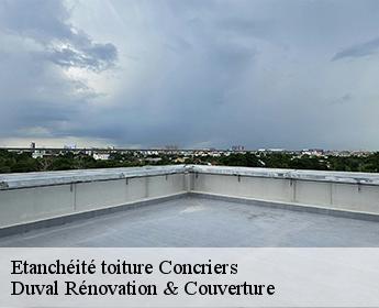 Etanchéité toiture  concriers-41370 Duval Rénovation & Couverture