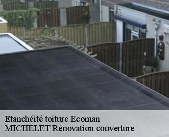 Etanchéité toiture ecoman-41290 MICHELET Rénovation couverture
