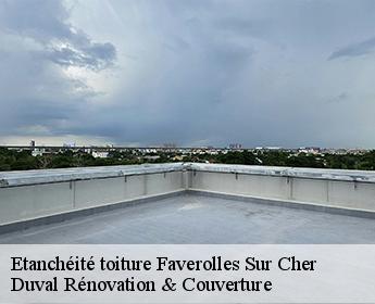Etanchéité toiture faverolles-sur-cher-41400 Duval Rénovation & Couverture
