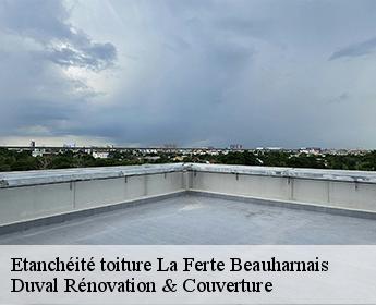 Etanchéité toiture la-ferte-beauharnais-41210 Duval Rénovation & Couverture