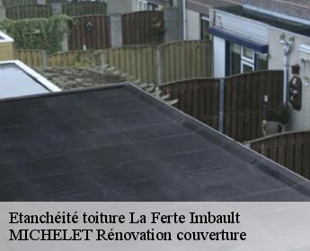 Etanchéité toiture la-ferte-imbault-41300 Entreprise de Couverture et Reparation 41