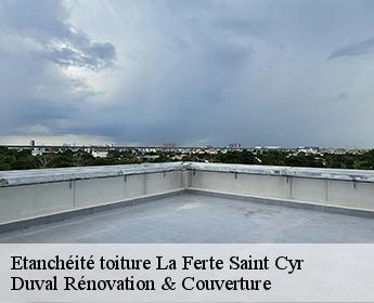 Etanchéité toiture la-ferte-saint-cyr-41220 Duval Rénovation & Couverture