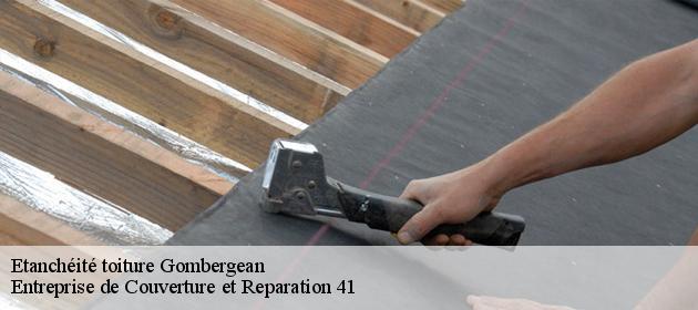 Etanchéité toiture  gombergean-41310 Entreprise de Couverture et Reparation 41