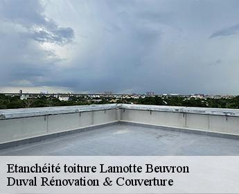 Etanchéité toiture lamotte-beuvron-41600 Duval Rénovation & Couverture