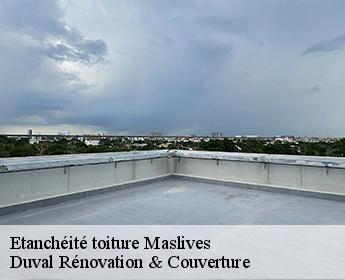 Etanchéité toiture maslives-41250 Duval Rénovation & Couverture