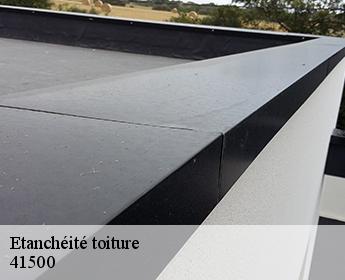 Etanchéité toiture 41500