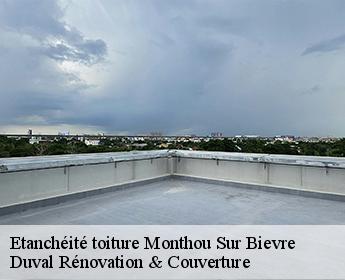 Etanchéité toiture monthou-sur-bievre-41120 Duval Rénovation & Couverture