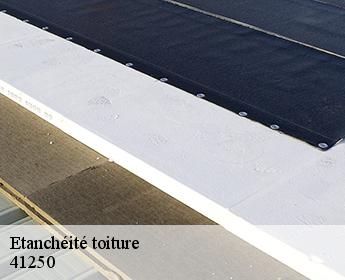 Etanchéité toiture 41250