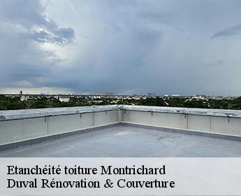 Etanchéité toiture montrichard-41400 Duval Rénovation & Couverture