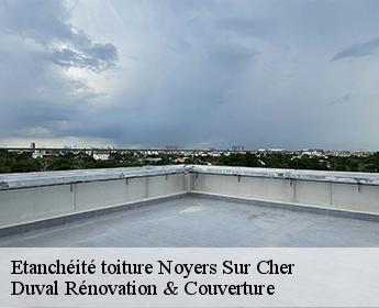 Etanchéité toiture noyers-sur-cher-41140 Duval Rénovation & Couverture