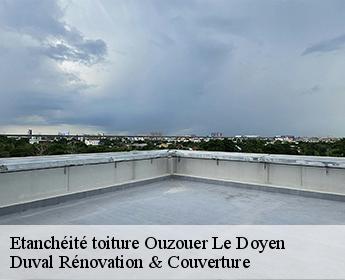Etanchéité toiture  ouzouer-le-doyen-41160 Duval Rénovation & Couverture