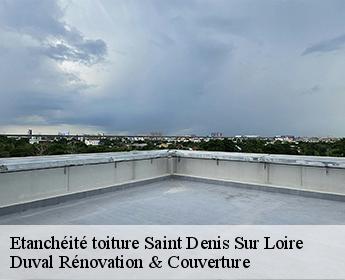 Etanchéité toiture saint-denis-sur-loire-41000 Duval Rénovation & Couverture