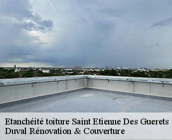 Etanchéité toiture saint-etienne-des-guerets-41190 Duval Rénovation & Couverture