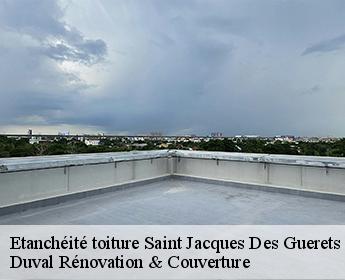 Etanchéité toiture saint-jacques-des-guerets-41800 Duval Rénovation & Couverture