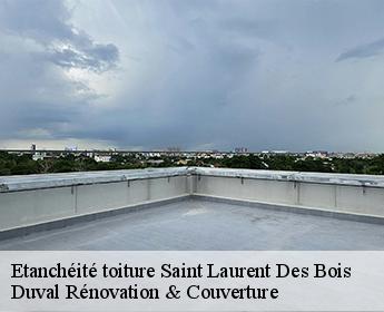 Etanchéité toiture saint-laurent-des-bois-41240 Duval Rénovation & Couverture