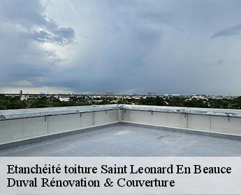 Etanchéité toiture  saint-leonard-en-beauce-41370 Duval Rénovation & Couverture