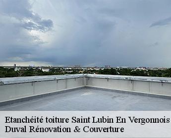 Etanchéité toiture  saint-lubin-en-vergonnois-41190 Duval Rénovation & Couverture