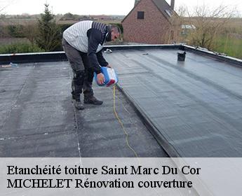 Etanchéité toiture 41170