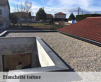 Etanchéité toiture 41170
