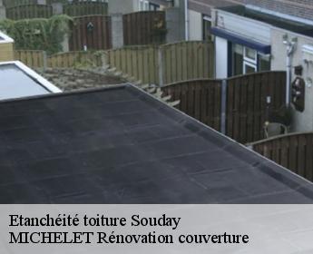 Etanchéité toiture souday-41170 Entreprise de Couverture et Reparation 41