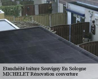 Etanchéité toiture  souvigny-en-sologne-41600 Entreprise de Couverture et Reparation 41