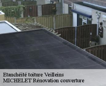 Etanchéité toiture veilleins-41230 MICHELET Rénovation couverture