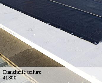 Etanchéité toiture 41800