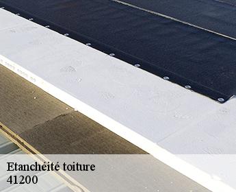 Etanchéité toiture 41200