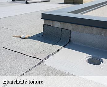 Etanchéité toiture 41100