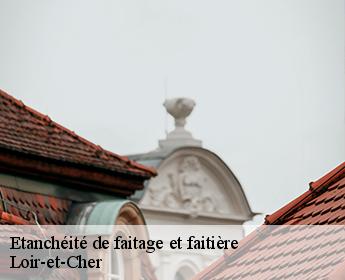 Etanchéité de faitage et faitière Loir-et-Cher