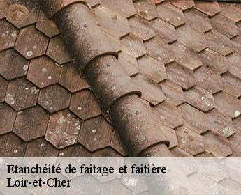 Etanchéité de faitage et faitière Loir-et-Cher