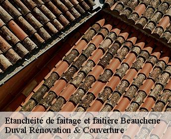 Etanchéité de faitage et faitière