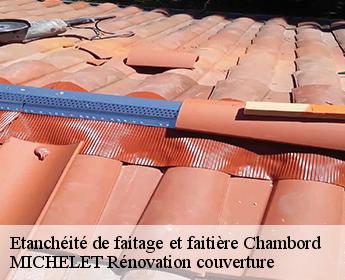 Etanchéité de faitage et faitière chambord-41250 MICHELET Rénovation couverture