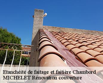 Etanchéité de faitage et faitière 41250