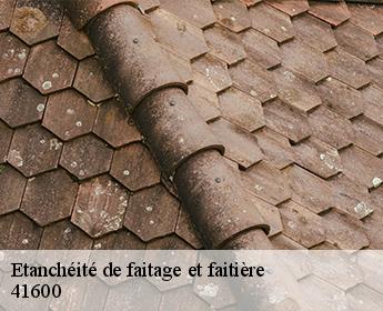 Etanchéité de faitage et faitière 41600
