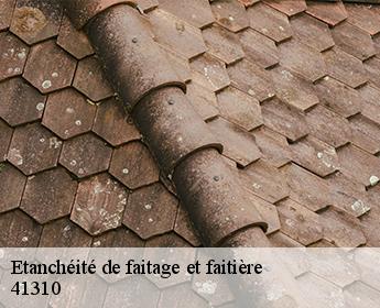 Etanchéité de faitage et faitière 41310