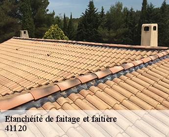 Etanchéité de faitage et faitière 41120
