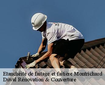 Etanchéité de faitage et faitière  41400