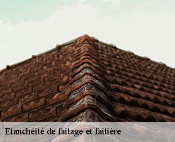 Etanchéité de faitage et faitière