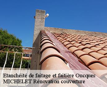Etanchéité de faitage et faitière 41290