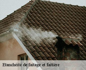 Etanchéité de faitage et faitière 41370