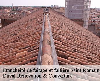 Etanchéité de faitage et faitière saint-romain-sur-cher-41140 Duval Rénovation & Couverture
